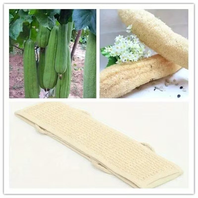 Loofah Back Scrubber